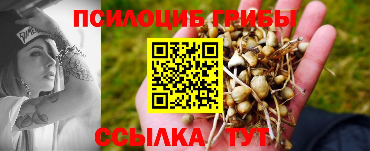 где найти наркотики  Псилоцибиновые грибы MAGIC MUSHROOMS  Вход с VPN  Галлюциногенные грибы ЛСД  Майский 
